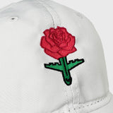 Rose-Plane Platinum White Hat